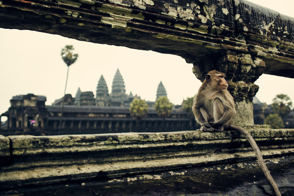 Angkor Wat Cambodia - Julian Walter Photography
