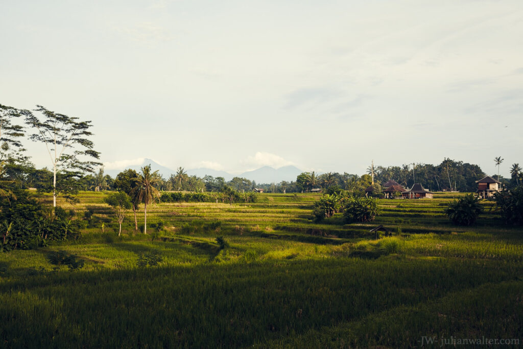 Ubud Bali - Julian Walter Photography