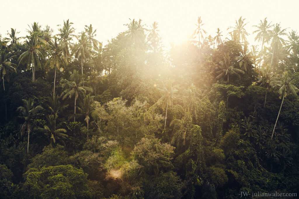 Ubud Bali - Julian Walter Photography